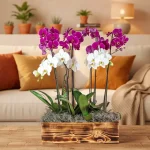 Fallecimiento sentido pesame con orquídeas premium en arreglo floral elegante