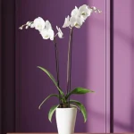 Flores de luto orquídeas en arreglo floral elegante para condolencias
