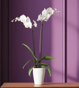 Flores de luto orquídeas en arreglo floral elegante para condolencias